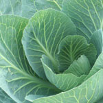 Buyer Beware: Is the produce for sale at area farm markets really local?