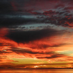 Poem/a/Day: Scattering Ashes at Land’s End by Laura Apol