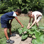 Urbandale: Lansing’s new urban garden