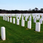 My Veteran’s Day wish