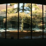 Protect the state tree at the State of Michigan Library