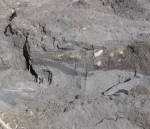 Coal ash dump