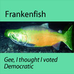 Stop GMO Frankenfish from coming to a plate near you & other fishy matters