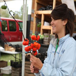 SLIDESHOW: Foraging for food around town this fall