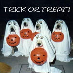 Another lonely/quiet Halloween? I hope so