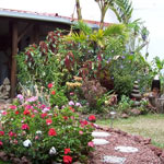 Dental Tourism: Hello, Costa Rica
