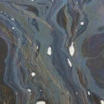 Kazoo Oil Spill: Help the wildlife and read Michigan Messenger’s latest