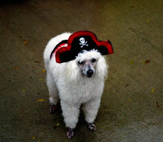DSC_9185_LON