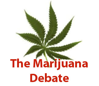 Lansing Planning Board Discusses Medical Marijuana