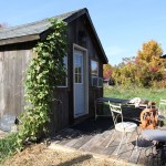 Agri-Tourism/Agri-Education: New on-farm Happy Goat Lucky Ewe yarn shop