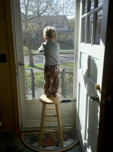 Frankie Watching Street Sweeper
