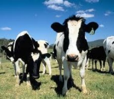 Poem/a/day: Iowa Exotica