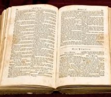 german bible230