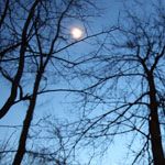 Nightsounds: Becoming a country girl