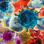 Stone Soup:  It’s the microbes ya filthy animal!