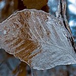 Stone Soup:  Ode to a Frozen Wonderland